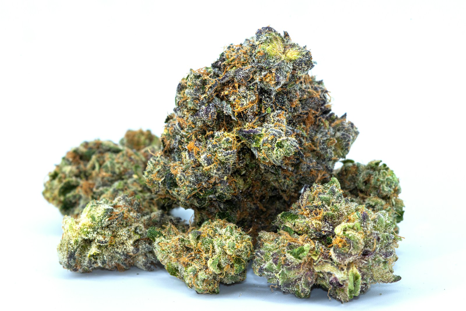 Sativa tegen Indica: De Betekenis van Wietplanten en Wietplantjes voor Je Keuze